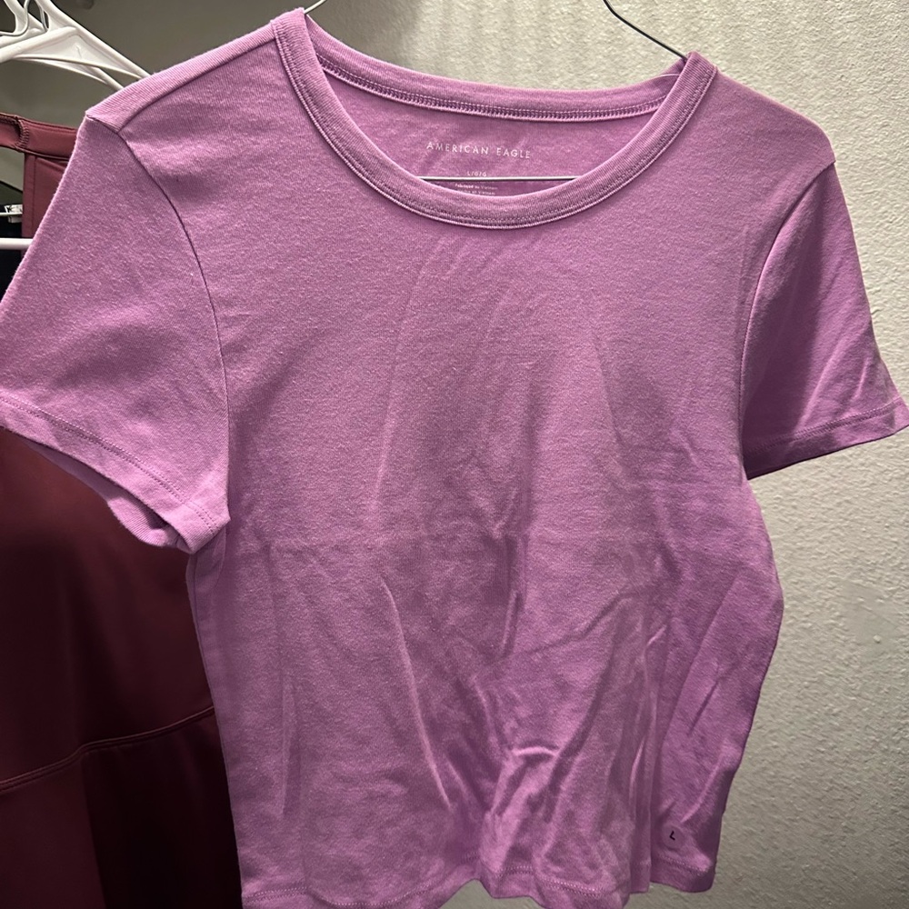 American Eagle Outfitters Purple Crop Fitted T-Shirt